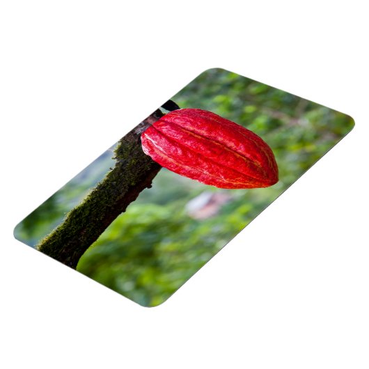 Magnet Flexible cocod (Côté Gauche)