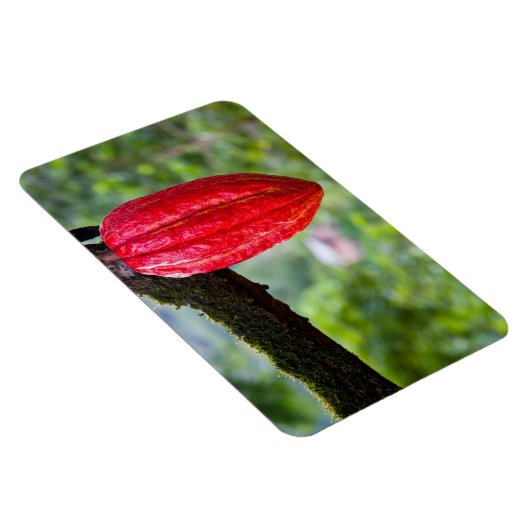 Magnet Flexible cocod (Côté Droit)