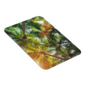 Magnet Flexible Cocotiers palmiers sur la plage (Côté Droit)