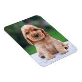 Magnet Flexible Coker Spaniel (Côté Droit)