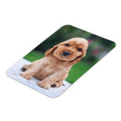 Magnet Flexible Coker Spaniel (Côté Gauche)