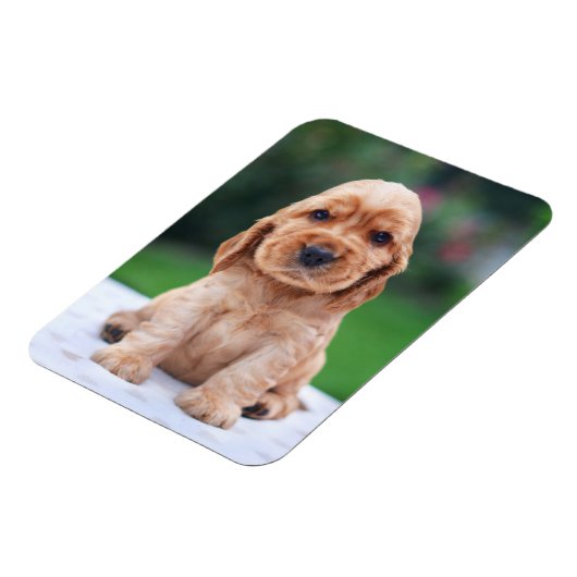 Magnet Flexible Coker Spaniel (Côté Gauche)