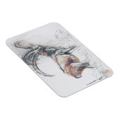 Magnet Flexible Col di Vermianaz (Côté Droit)