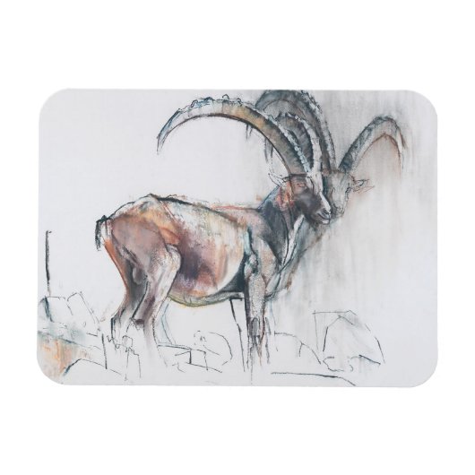 Magnet Flexible Col di Vermianaz (Horizontal)