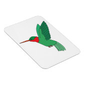 Magnet Flexible Colibri (Côté Droit)