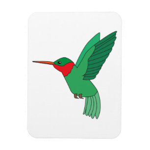Magnet Flexible Colibri