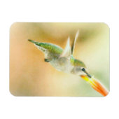 Magnet Flexible Colibri au petit matin (Horizontal)