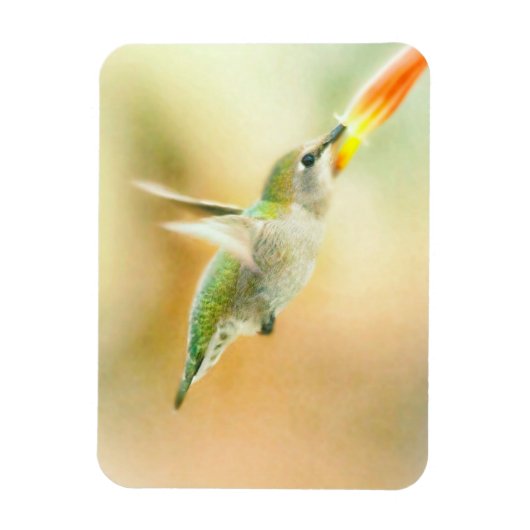 Magnet Flexible Colibri au petit matin (Vertical)