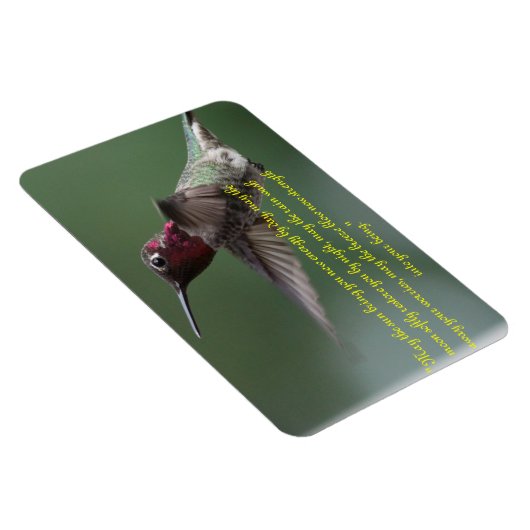 Magnet Flexible Colibri avec Apache qui dit (Côté Droit)