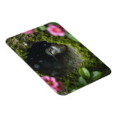 Magnet Flexible Colibri dans le nid (Côté Droit)