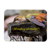 Magnet Flexible Colibri posé dans l'eau 2 (Horizontal)