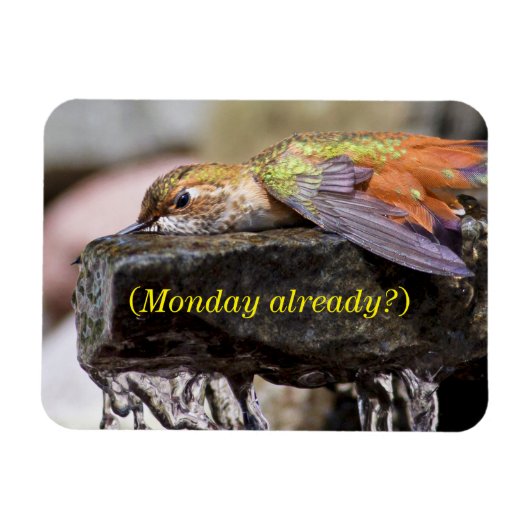 Magnet Flexible Colibri posé dans l'eau 2 (Horizontal)