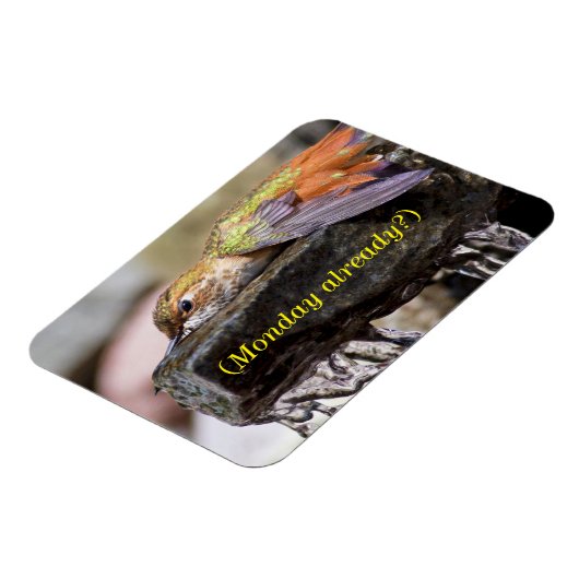 Magnet Flexible Colibri posé dans l'eau 2 (Côté Gauche)