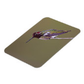 Magnet Flexible Colibri reposant (Côté Gauche)