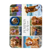 Magnet Flexible Collage de photos de chien simple (Vertical)