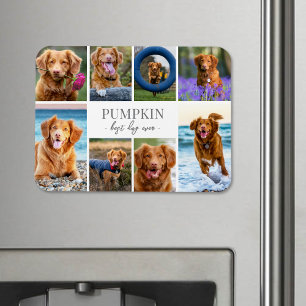 Magnet Flexible Collage photo simple pour animal de compagnie de c