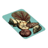 Magnet Flexible Collection de coquillages turquoise et de coraux r (Côté Droit)