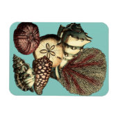 Magnet Flexible Collection de coquillages turquoise et de coraux r (Horizontal)
