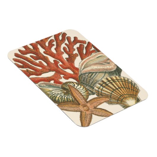 Magnet Flexible Collection de vies marines (Côté Droit)