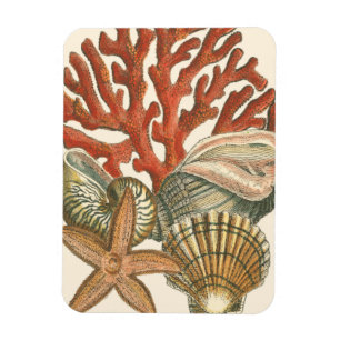 Magnet Flexible Collection de vies marines