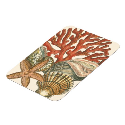 Magnet Flexible Collection de vies marines (Côté Gauche)