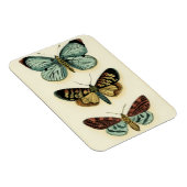 Magnet Flexible Collection Papillons par Chariklia Zarris (Côté Droit)