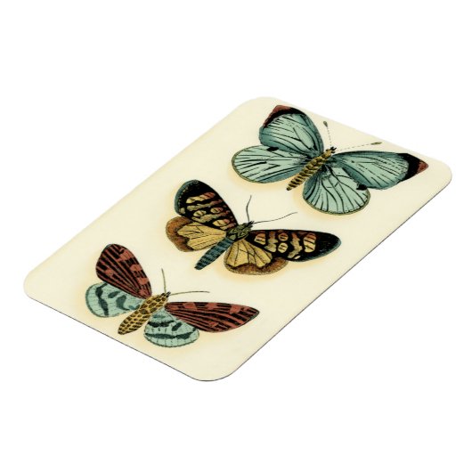 Magnet Flexible Collection Papillons par Chariklia Zarris (Côté Gauche)