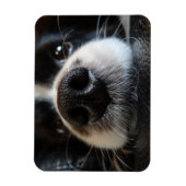 Magnet Flexible Collie Bordure Cute Nez Closeuse (Vertical)