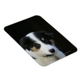 Magnet Flexible Collie Collie Puppy vieille frontière de 12 semain (Côté Droit)