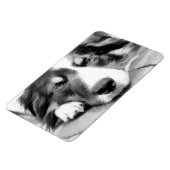 MAGNET FLEXIBLE COLLIE FRONTALIÈRE (Côté Gauche)