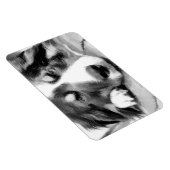 MAGNET FLEXIBLE COLLIE FRONTALIÈRE (Côté Droit)