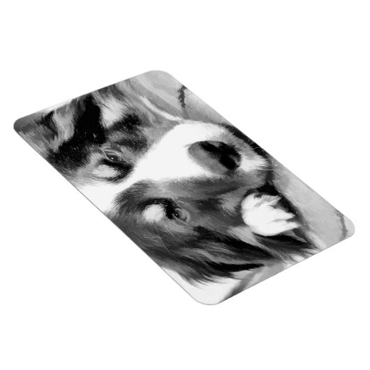 MAGNET FLEXIBLE COLLIE FRONTALIÈRE (Côté Droit)