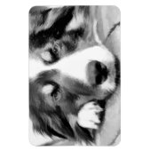 MAGNET FLEXIBLE COLLIE FRONTALIÈRE (Vertical)
