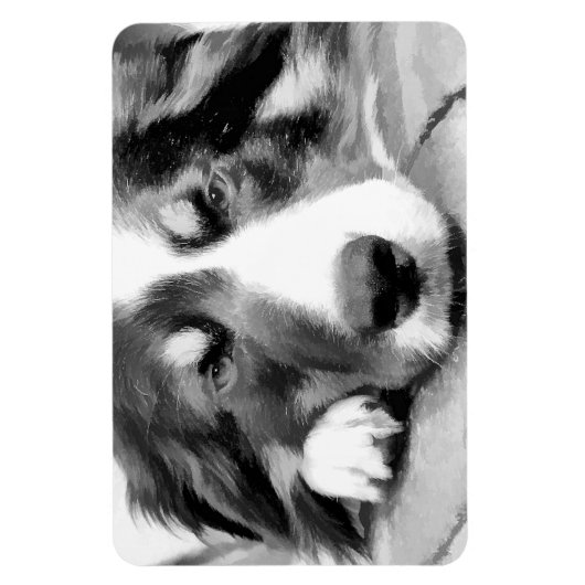 MAGNET FLEXIBLE COLLIE FRONTALIÈRE (Vertical)