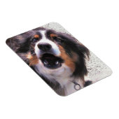 MAGNET FLEXIBLE COLLIE FRONTALIÈRE (Côté Droit)