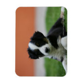 Magnet Flexible Collière vieille 6 semaines (Vertical)