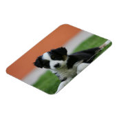 Magnet Flexible Collière vieille 6 semaines (Côté Gauche)