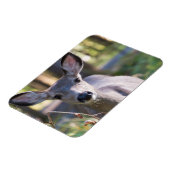 Magnet Flexible Colombien Doe à queue noire | État de Washington (Côté Gauche)