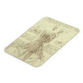 Magnet Flexible Colonne épinière de l'anatomie humaine par Léonard (Côté Gauche)