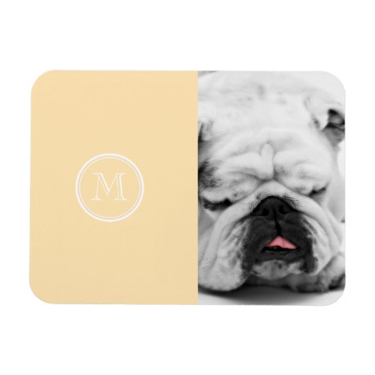 Magnet Flexible Coloré haut de gamme (Horizontal)