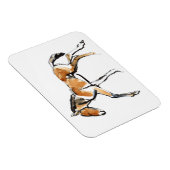 Magnet Flexible Colt (Côté Droit)