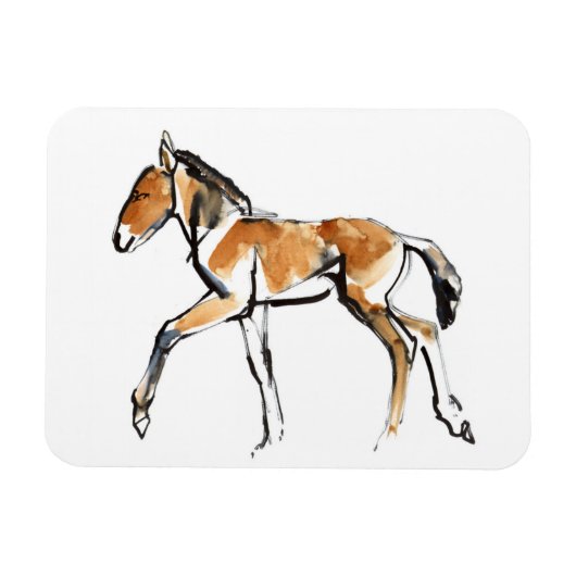 Magnet Flexible Colt (Horizontal)