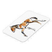 Magnet Flexible Colt (Côté Gauche)
