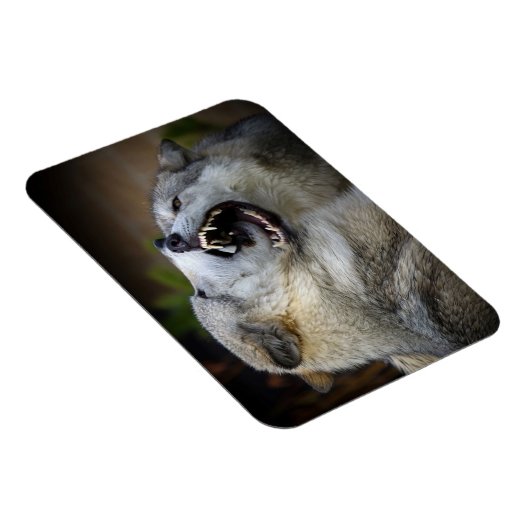 Magnet Flexible Combat de loups (Côté Droit)