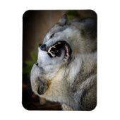 Magnet Flexible Combat de loups (Vertical)