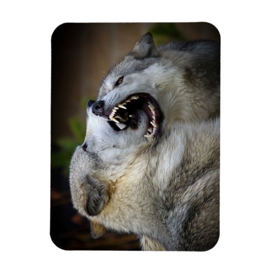 Magnet Flexible Combat de loups (Vertical)