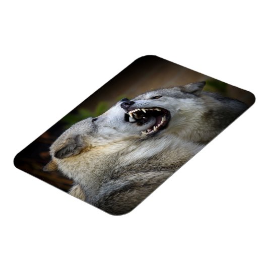 Magnet Flexible Combat de loups (Côté Gauche)