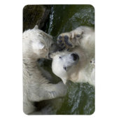 Magnet Flexible Combattre les ours polaires (Vertical)