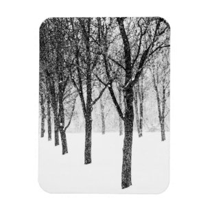 Magnet Flexible comme je prends le parti des arbres