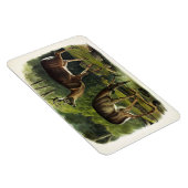 Magnet Flexible Common Deer (Côté Droit)